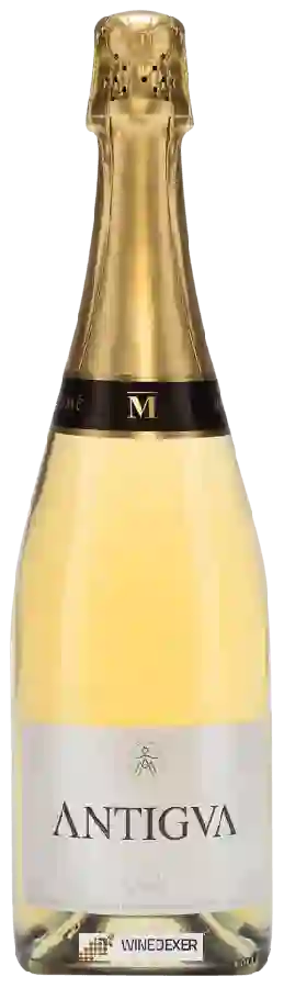 Winery Antigva - Cava Millésime Winery Antigva - Cava Millésime