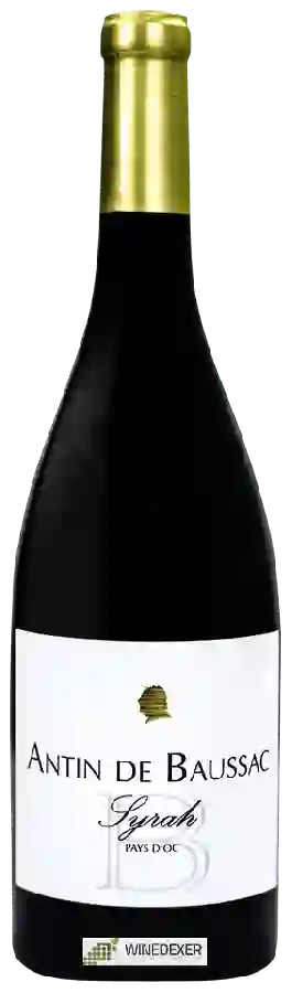 Winery Antin de Baussac - Syrah