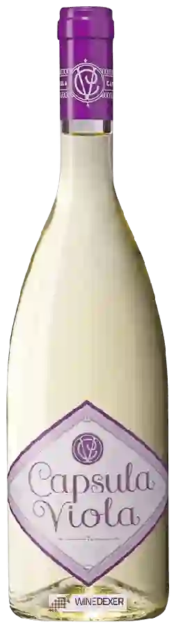 Winery Antinori - Capsula Viola Winery Antinori - Capsula Viola