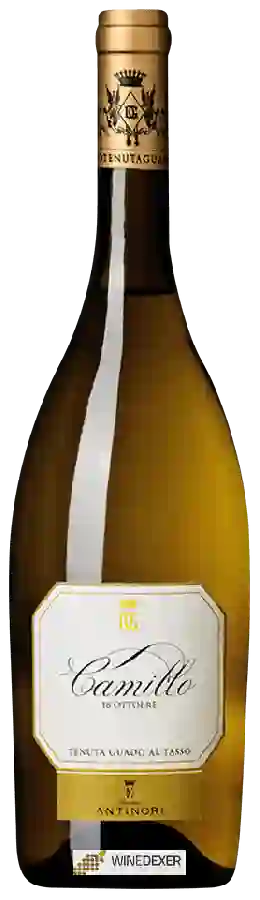 Winery Antinori - Tenuta Guado al Tasso Camillo