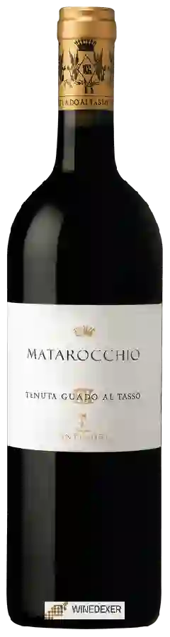 Winery Antinori - Tenuta Guado al Tasso Matarocchio