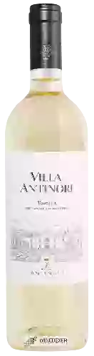 Winery Antinori - Villa Antinori Toscana Bianco