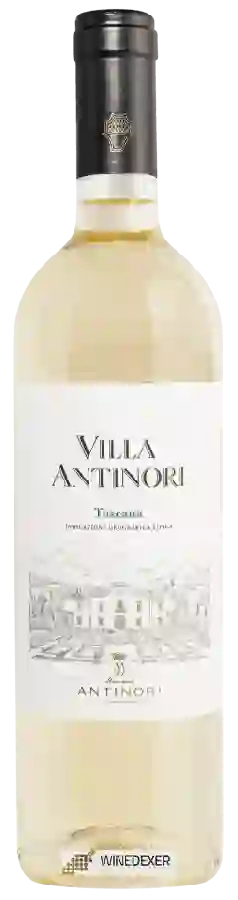 Winery Antinori - Villa Antinori Toscana Bianco