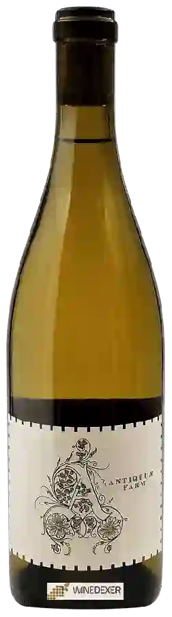 Winery Antiquum Farm - Daisy Pinot Gris