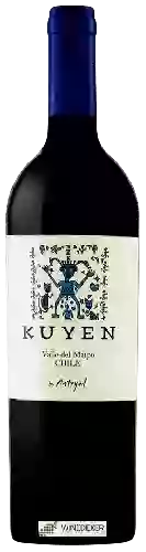 Winery Antiyal - Kuyen