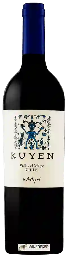 Winery Antiyal - Kuyen