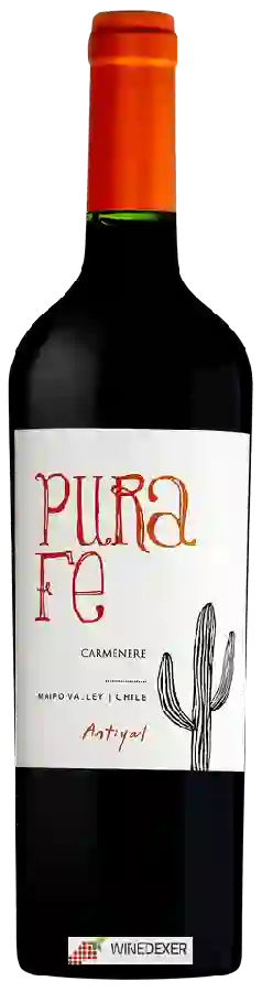 Winery Antiyal - Pura Fe Carmenère