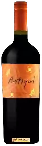 Winery Antiyal - Red