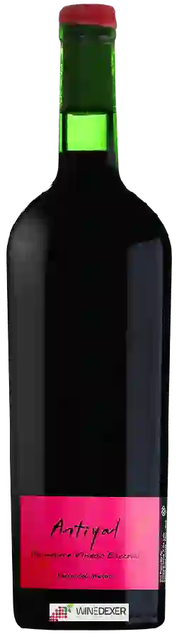 Winery Antiyal - Viñedo Escorial Carmenère