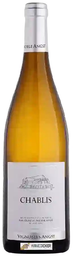Vignobles Angst - Chablis