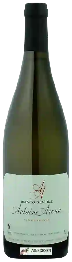 Winery Antoine Arena - Bianco Gentile Winery Antoine Arena - Bianco Gentile