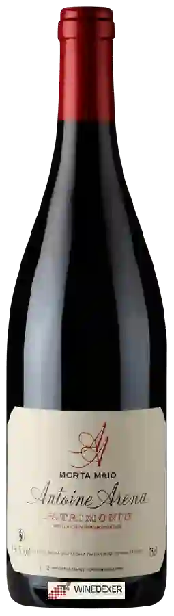 Winery Antoine Arena - Morta Maio Patrimonio