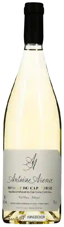 Winery Antoine Arena - Muscat du Cap Corse Winery Antoine Arena - Muscat du Cap Corse
