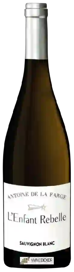 Winery Antoine de la Farge - L'Enfant Rebelle Sauvignon Blanc