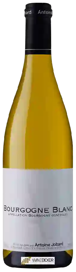 Winery Francois et Antoine Jobard - Bourgogne Blanc
