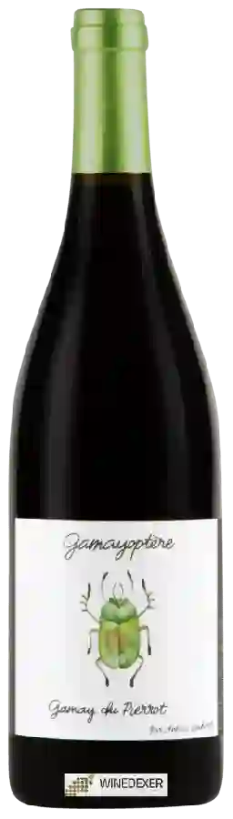 Winery Antoine Lienhardt - Gamayoptère Gamay du Pierrot Winery Antoine Lienhardt - Gamayoptère Gamay du Pierrot