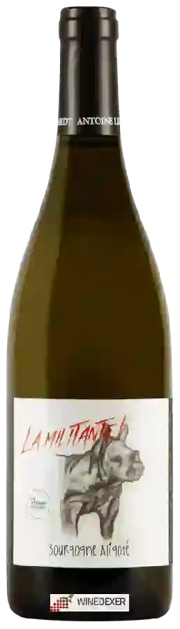 Winery Antoine Lienhardt - La Militante Bourgogne Aligoté
