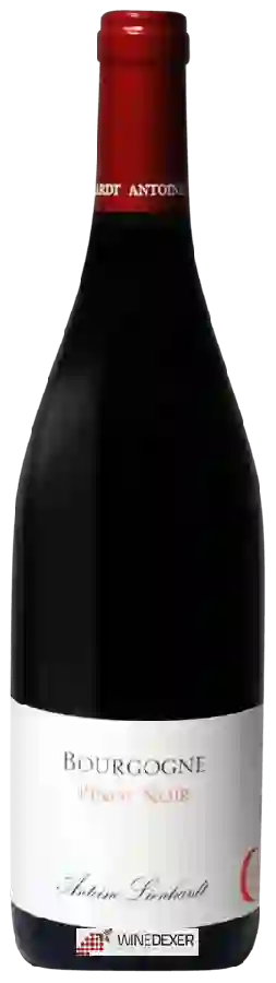 Winery Antoine Lienhardt - Pinot Noir Bourgogne Winery Antoine Lienhardt - Pinot Noir Bourgogne