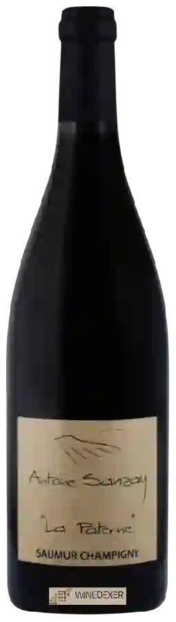 Winery Antoine Sanzay - La Paterne Saumur-Champigny Winery Antoine Sanzay - La Paterne Saumur-Champigny