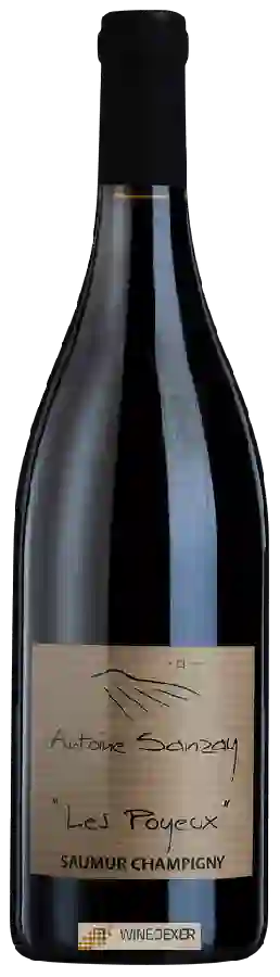 Winery Antoine Sanzay - Saumur Champigny 'Les Poyeux'