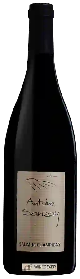 Winery Antoine Sanzay - Saumur-Champigny Winery Antoine Sanzay - Saumur-Champigny
