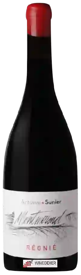 Winery Antoine Sunier - Montmerond Régnié Winery Antoine Sunier - Montmerond Régnié