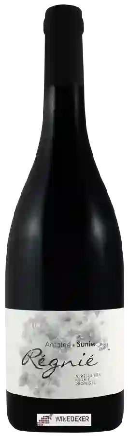 Winery Antoine Sunier - Régnié