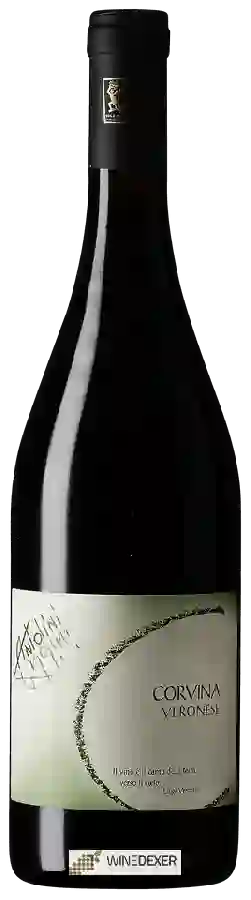 Winery Antolini - Corvina Veronese