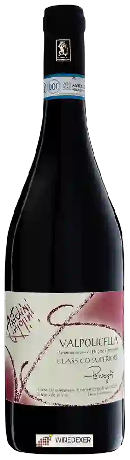 Winery Antolini - Persegà Valpolicella Classico Superiore