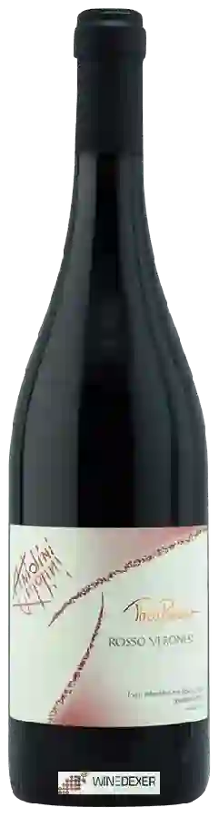 Winery Antolini - Theobroma Rosso Veronese