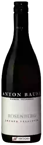 Winery Anton Bauer - Rosenberg Grüner Veltliner