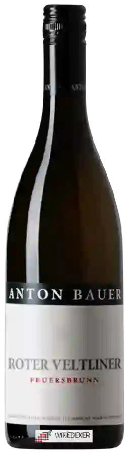 Winery Anton Bauer - Roter Veltliner Feuersbrunn