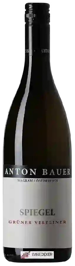 Winery Anton Bauer - Spiegel Grüner Veltliner