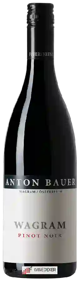 Winery Anton Bauer - Wagram Pinot Noir Winery Anton Bauer - Wagram Pinot Noir