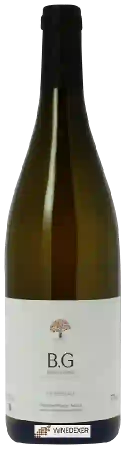 Winery Antoine-Marie Arena - Bianco Gentile Winery Antoine-Marie Arena - Bianco Gentile