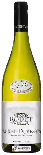 Winery Antonin Rodet - Auxey-Duresses