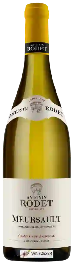 Winery Antonin Rodet - Meursault Winery Antonin Rodet - Meursault
