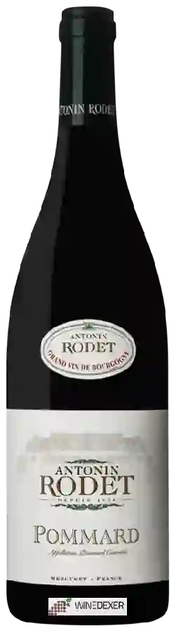 Winery Antonin Rodet - Pommard