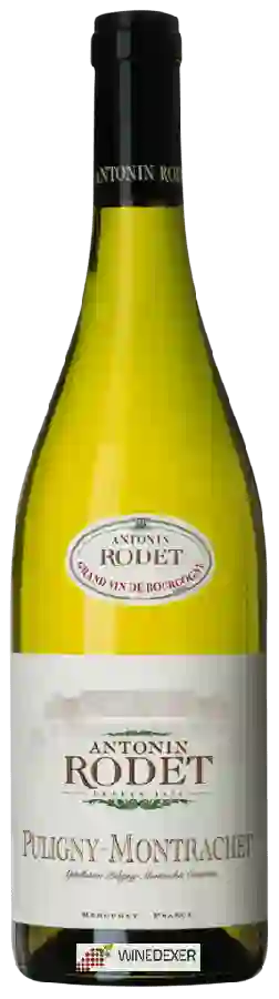 Winery Antonin Rodet - Puligny-Montrachet