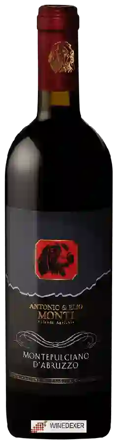 Winery Monti - Montepulciano d'Abruzzo