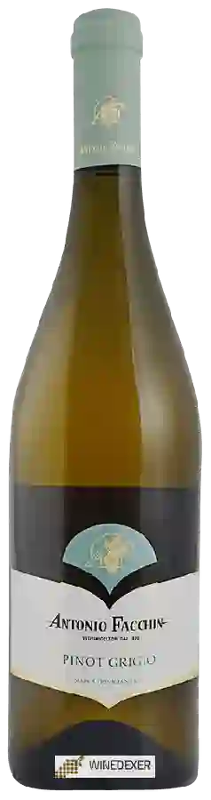 Winery Antonio Facchin - Pinot Grigio