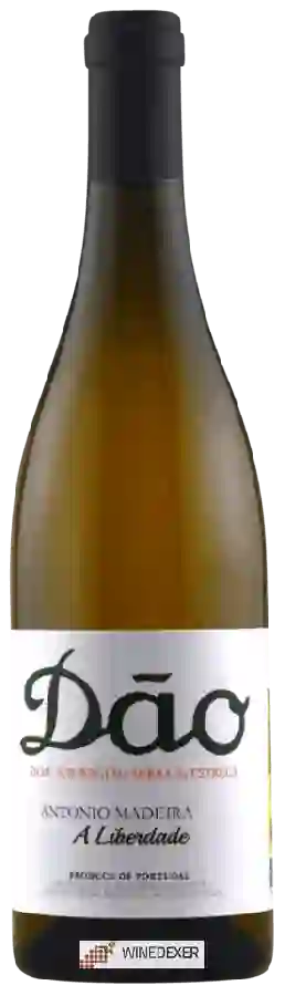 Winery Antonio Madeira - A Liberdade Winery Antonio Madeira - A Liberdade