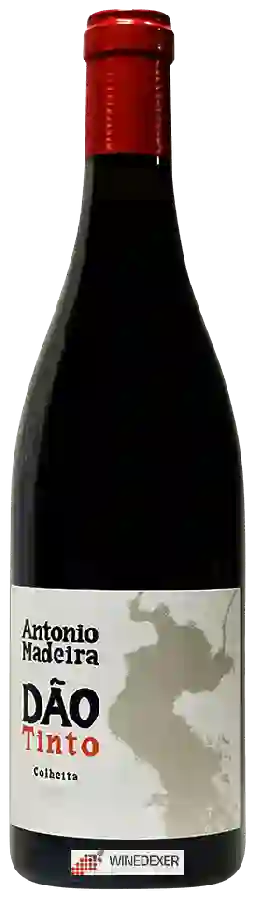 Winery Antonio Madeira - Tinto Winery Antonio Madeira - Tinto