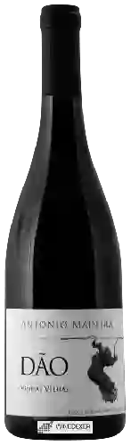 Winery Antonio Madeira - Vinhas Velhas