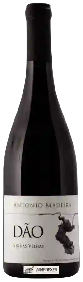 Winery Antonio Madeira - Vinhas Velhas