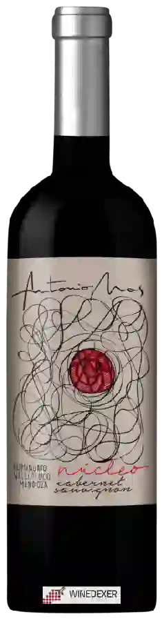 Winery Antonio Mas - Núcleo Cabernet Sauvignon Winery Antonio Mas - Núcleo Cabernet Sauvignon