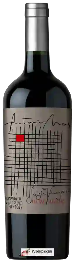 Winery Antonio Mas - Single Vineyard Cabernet Sauvignon