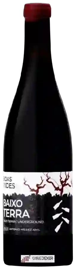 Winery Antonio Miguez Amil - Boas Vides Baixo Terra Tinto Winery Antonio Miguez Amil - Boas Vides Baixo Terra Tinto
