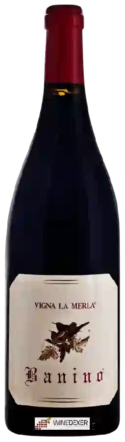 Winery Banino - Vigna la Merla Rosso