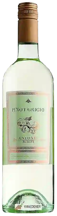 Winery Antonio Rubini - Pinot Grigio
